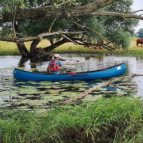 Kanu auf dem Fluss