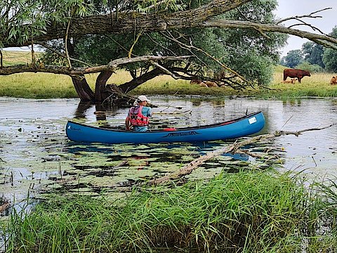 Kanu auf dem Fluss