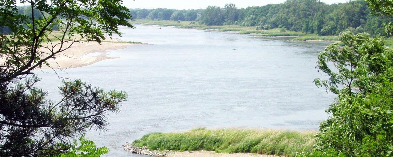 Blick vom Hochufer auf das Fließgewässer der Elbe 