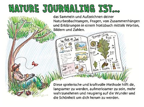 Buntstift-Skizze, die die Idee hinter Nature Journaling erklärt. Eine Person in der Natur, zeichnet in ein Tagebuch.